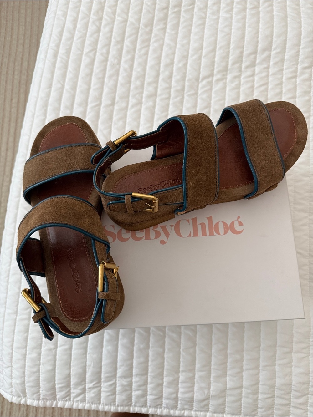 See By Chloe Brown Suede Sandals with Blue Trim and Gold Buckles